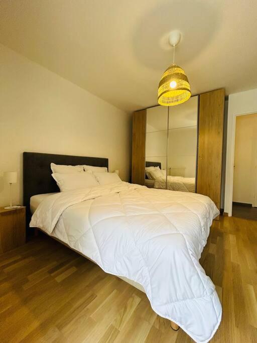 Apartment L'hermine Terrasse Et Parking, 500